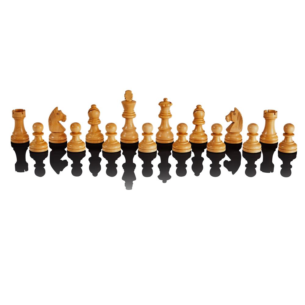 MILLENNIUM M828 Chess Classics Exclusive – Premium-Schachcomputer mit The King & ChessGenius